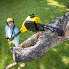 Best Commercial Tree Services  in Carterville, MO